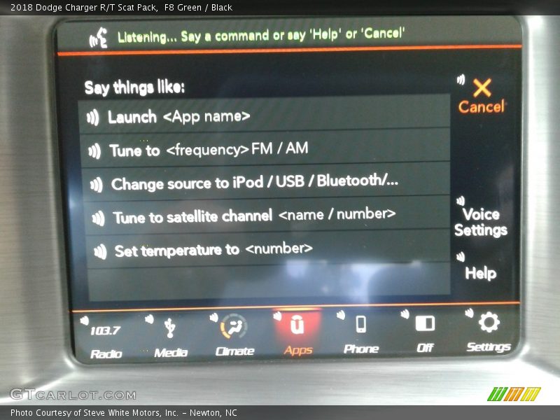 F8 Green / Black 2018 Dodge Charger R/T Scat Pack