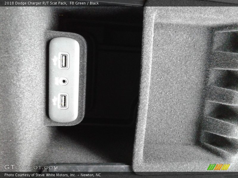 F8 Green / Black 2018 Dodge Charger R/T Scat Pack
