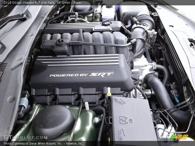 F8 Green / Black 2018 Dodge Charger R/T Scat Pack