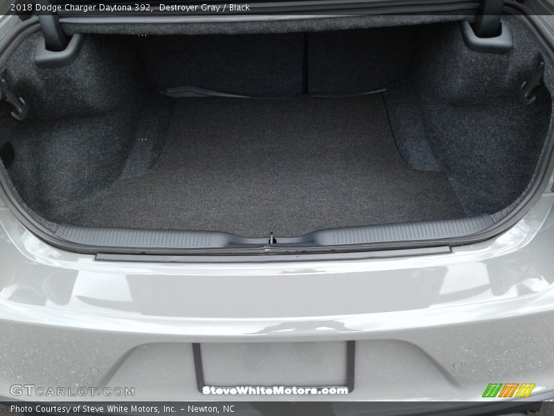 Destroyer Gray / Black 2018 Dodge Charger Daytona 392