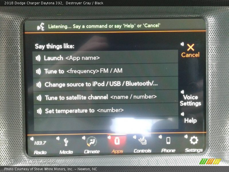 Destroyer Gray / Black 2018 Dodge Charger Daytona 392