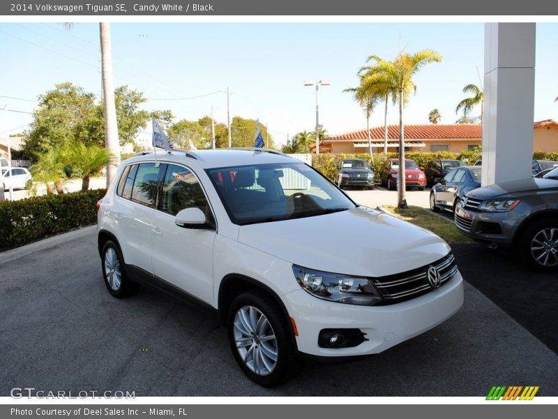 Candy White / Black 2014 Volkswagen Tiguan SE