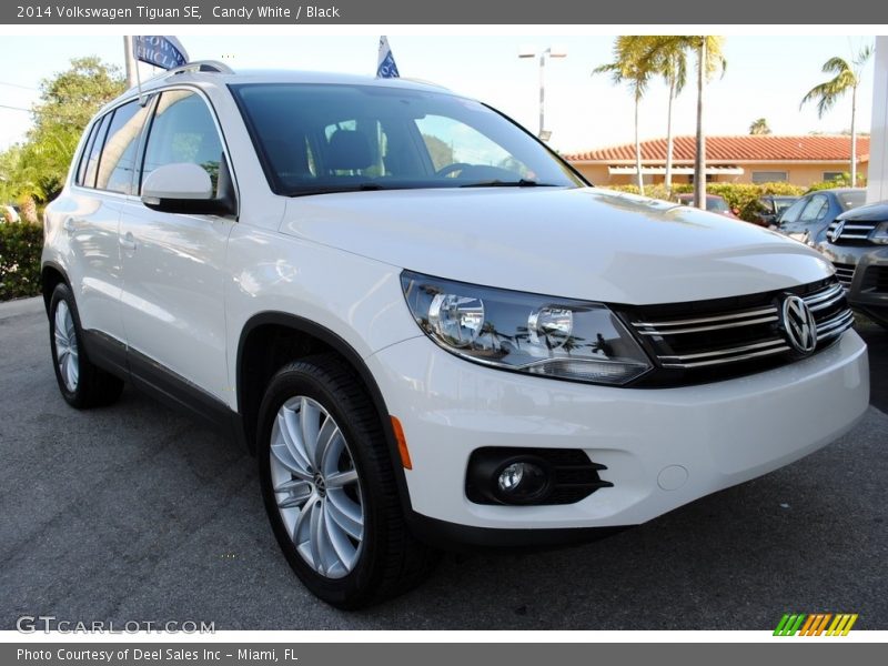 Candy White / Black 2014 Volkswagen Tiguan SE