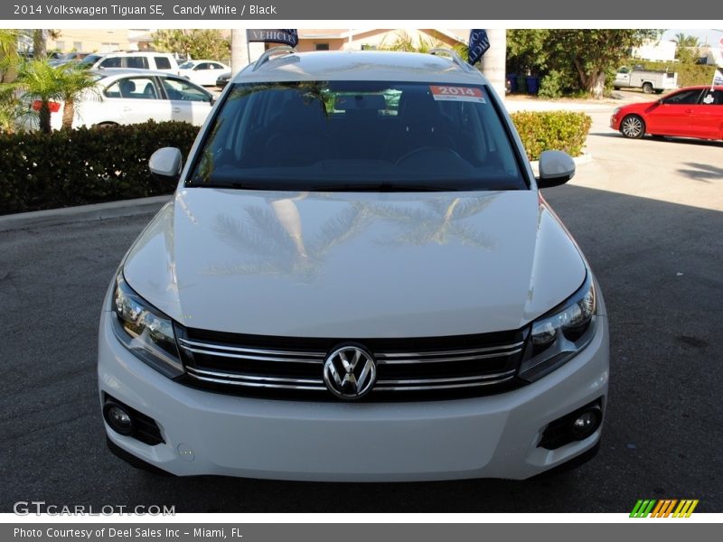 Candy White / Black 2014 Volkswagen Tiguan SE