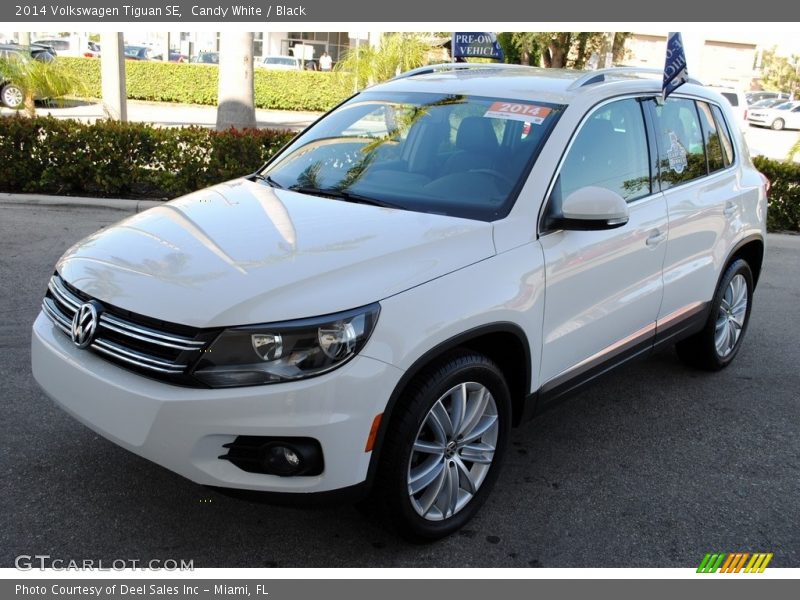 Candy White / Black 2014 Volkswagen Tiguan SE