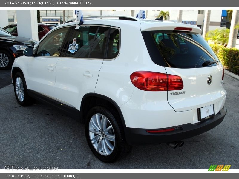 Candy White / Black 2014 Volkswagen Tiguan SE