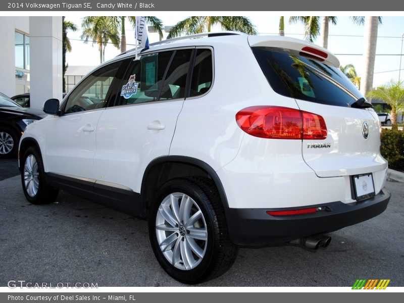 Candy White / Black 2014 Volkswagen Tiguan SE