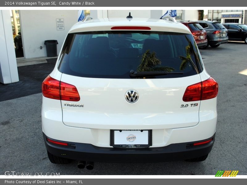 Candy White / Black 2014 Volkswagen Tiguan SE