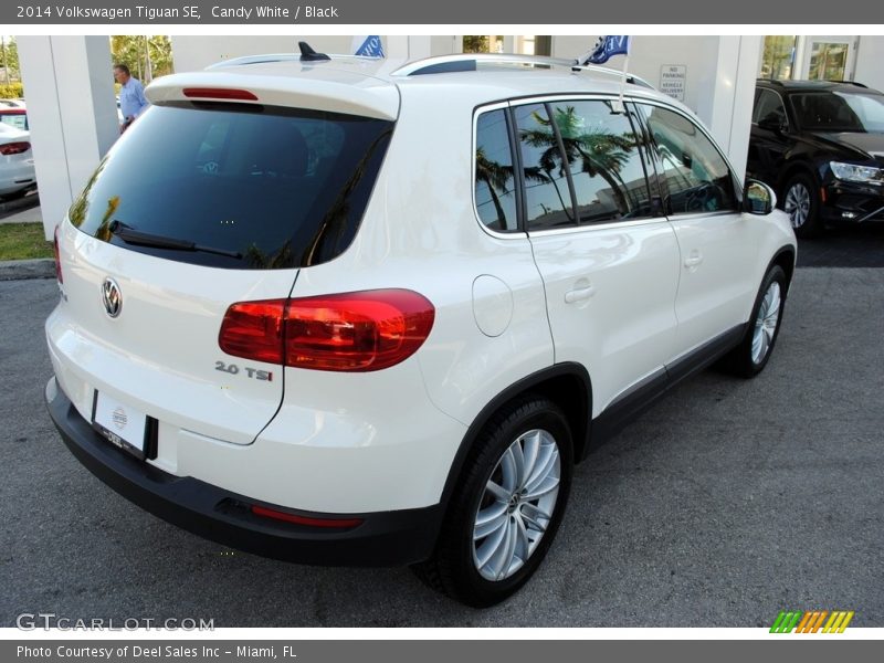 Candy White / Black 2014 Volkswagen Tiguan SE