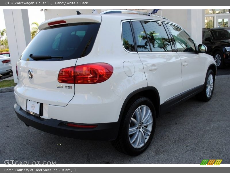 Candy White / Black 2014 Volkswagen Tiguan SE