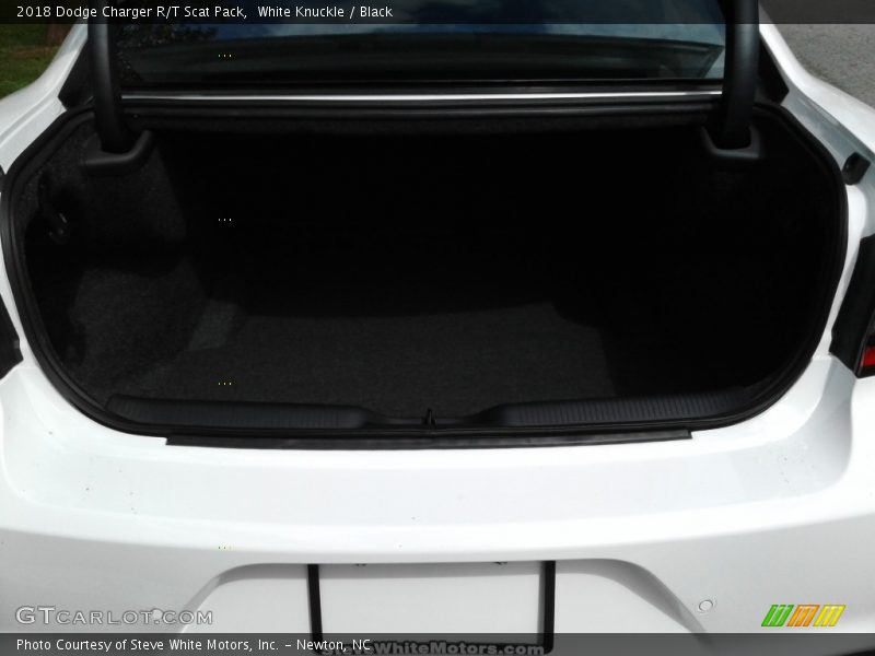 White Knuckle / Black 2018 Dodge Charger R/T Scat Pack