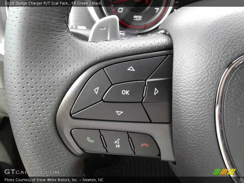 F8 Green / Black 2018 Dodge Charger R/T Scat Pack