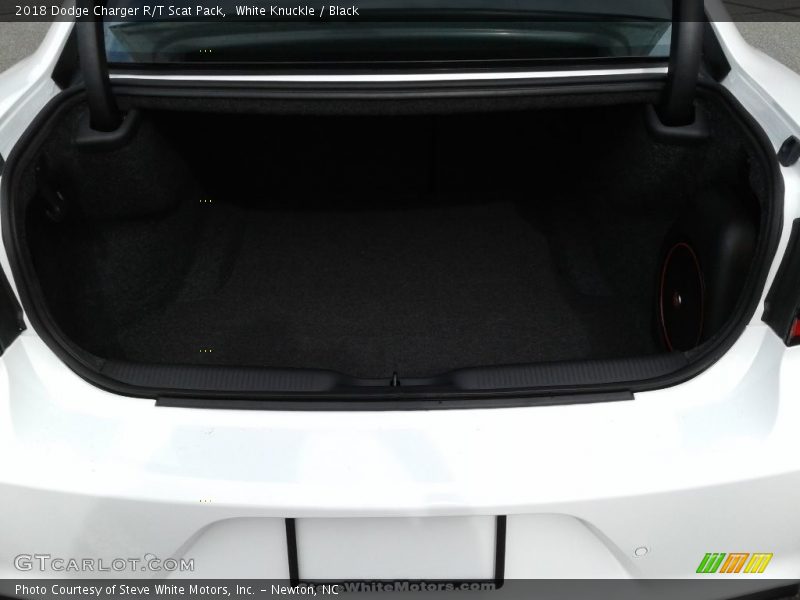 White Knuckle / Black 2018 Dodge Charger R/T Scat Pack