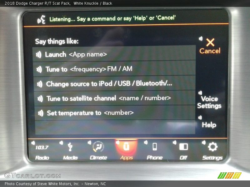 White Knuckle / Black 2018 Dodge Charger R/T Scat Pack