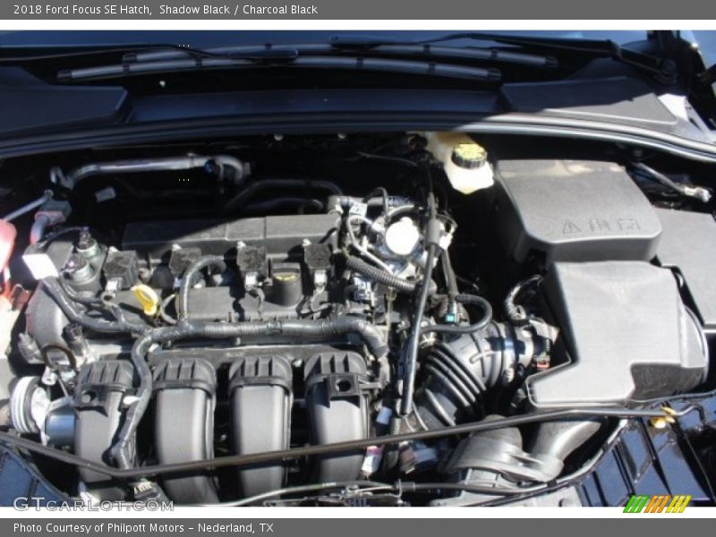 Shadow Black / Charcoal Black 2018 Ford Focus SE Hatch