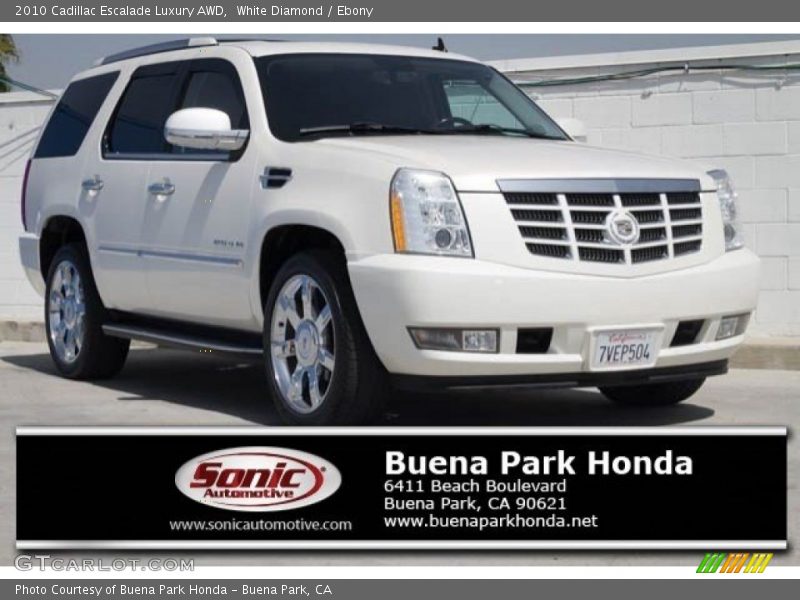 White Diamond / Ebony 2010 Cadillac Escalade Luxury AWD