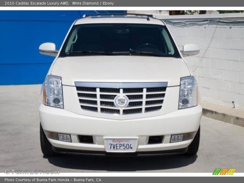 White Diamond / Ebony 2010 Cadillac Escalade Luxury AWD