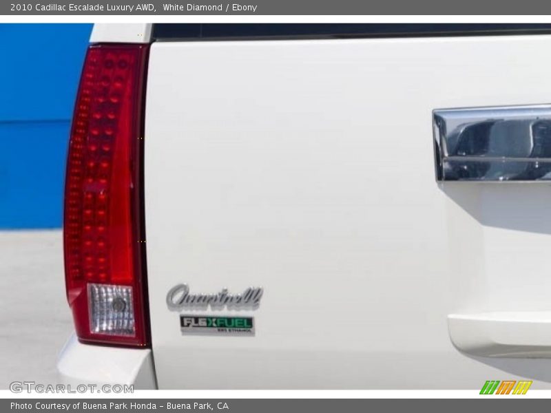 White Diamond / Ebony 2010 Cadillac Escalade Luxury AWD