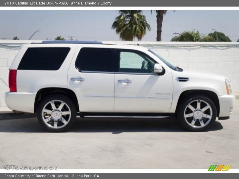 White Diamond / Ebony 2010 Cadillac Escalade Luxury AWD
