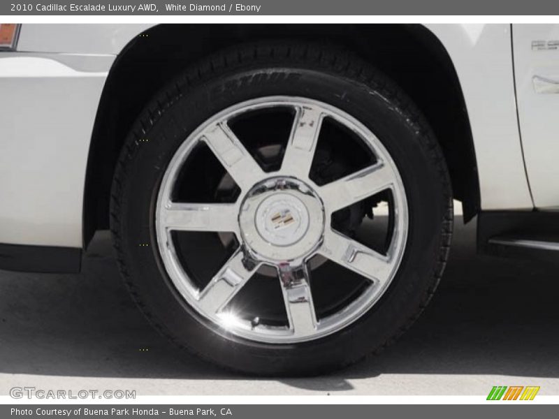 White Diamond / Ebony 2010 Cadillac Escalade Luxury AWD