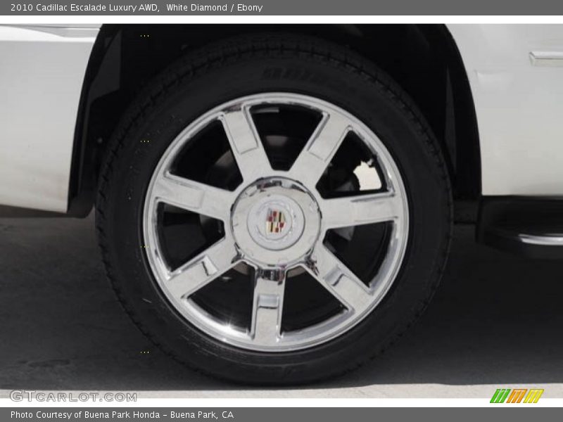 White Diamond / Ebony 2010 Cadillac Escalade Luxury AWD