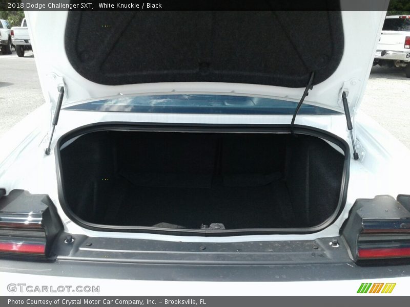 White Knuckle / Black 2018 Dodge Challenger SXT