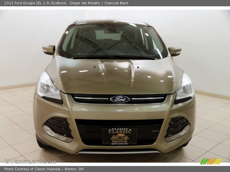 Ginger Ale Metallic / Charcoal Black 2013 Ford Escape SEL 1.6L EcoBoost