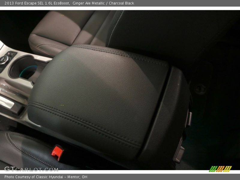 Ginger Ale Metallic / Charcoal Black 2013 Ford Escape SEL 1.6L EcoBoost