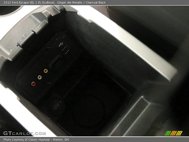 Ginger Ale Metallic / Charcoal Black 2013 Ford Escape SEL 1.6L EcoBoost