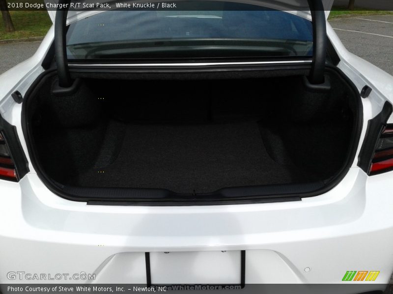 White Knuckle / Black 2018 Dodge Charger R/T Scat Pack
