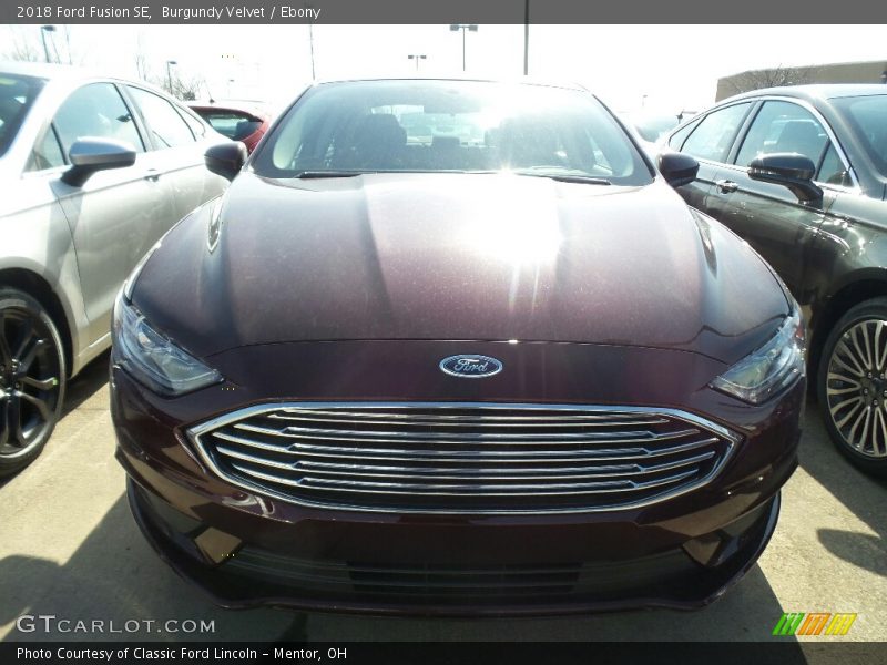 Burgundy Velvet / Ebony 2018 Ford Fusion SE