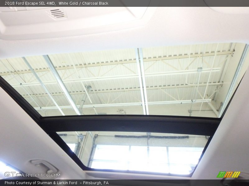 White Gold / Charcoal Black 2018 Ford Escape SEL 4WD