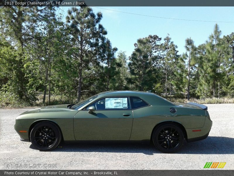 F8 Green / Black 2018 Dodge Challenger SXT