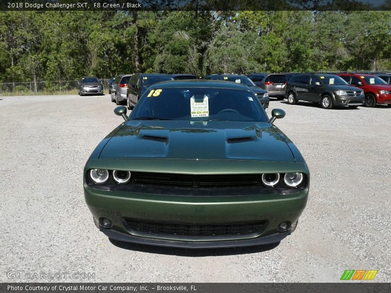 F8 Green / Black 2018 Dodge Challenger SXT