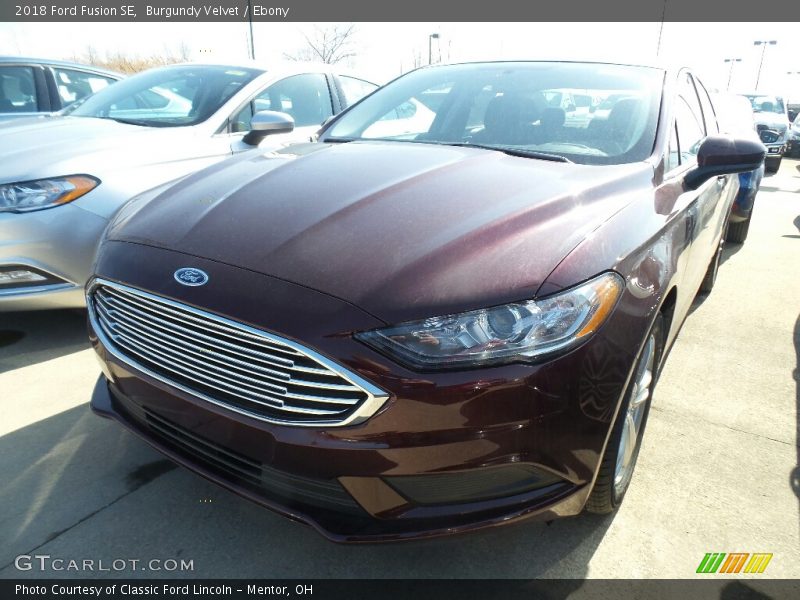 Burgundy Velvet / Ebony 2018 Ford Fusion SE
