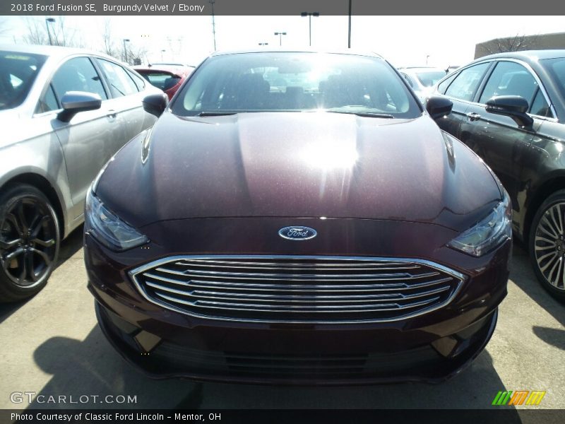 Burgundy Velvet / Ebony 2018 Ford Fusion SE