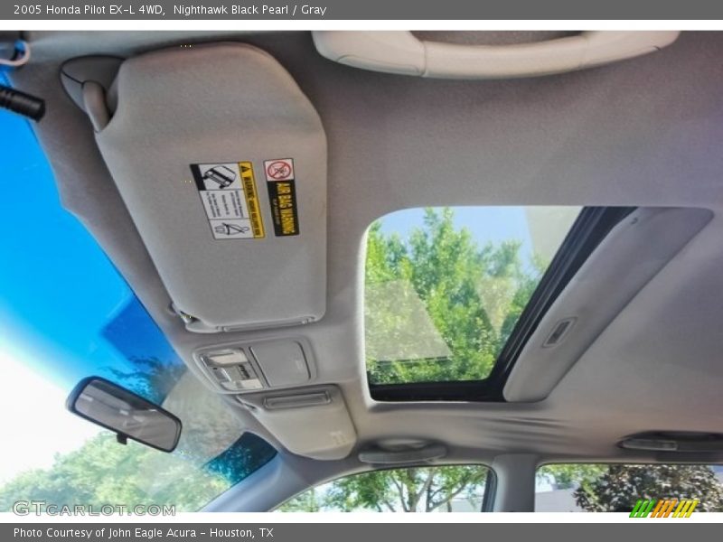 Nighthawk Black Pearl / Gray 2005 Honda Pilot EX-L 4WD