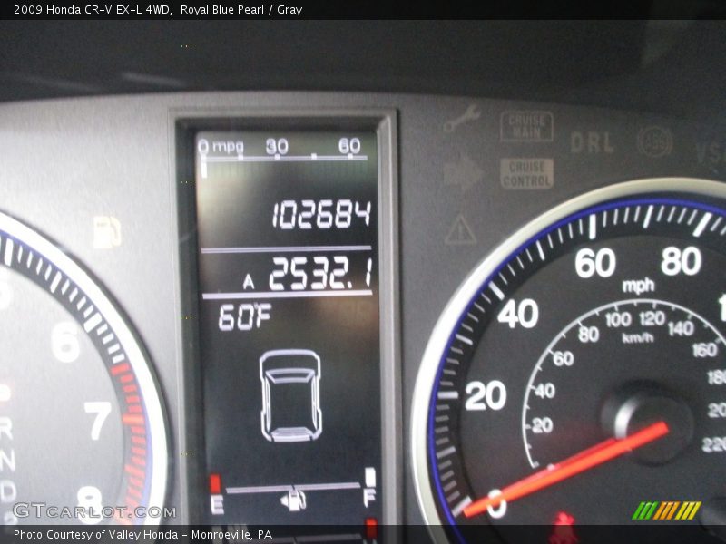 Royal Blue Pearl / Gray 2009 Honda CR-V EX-L 4WD