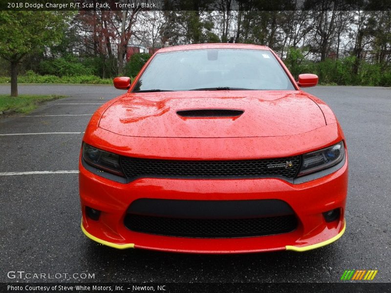 Torred / Black 2018 Dodge Charger R/T Scat Pack
