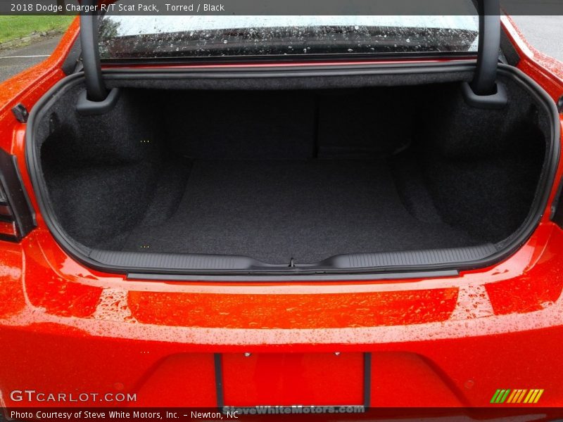 Torred / Black 2018 Dodge Charger R/T Scat Pack