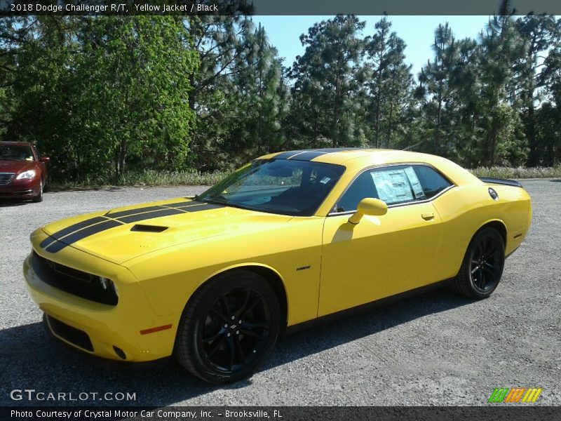 Yellow Jacket / Black 2018 Dodge Challenger R/T