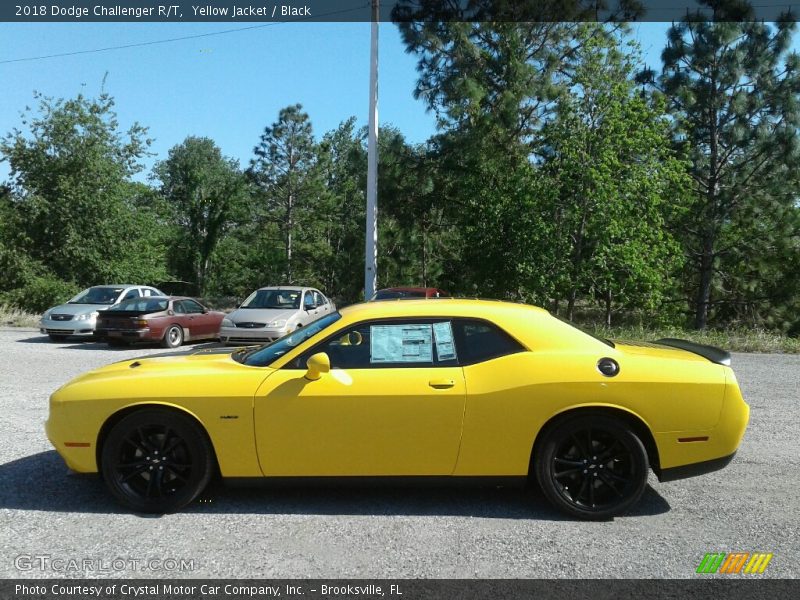 Yellow Jacket / Black 2018 Dodge Challenger R/T