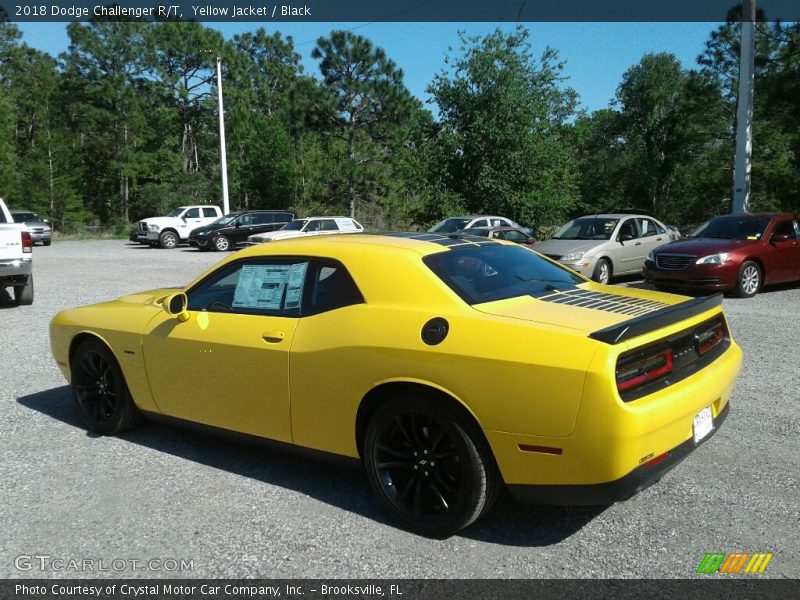 Yellow Jacket / Black 2018 Dodge Challenger R/T