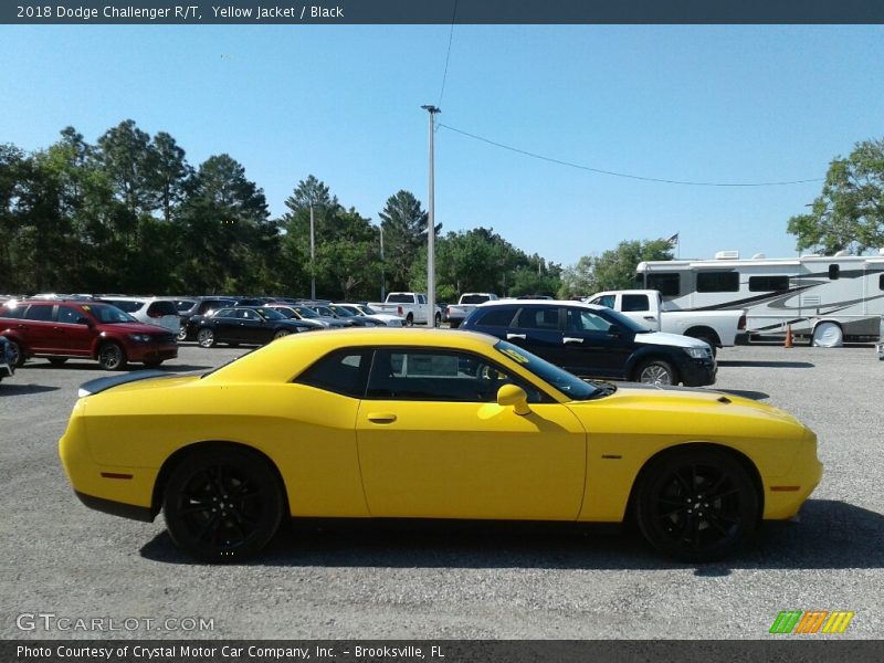 Yellow Jacket / Black 2018 Dodge Challenger R/T