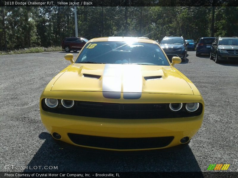 Yellow Jacket / Black 2018 Dodge Challenger R/T