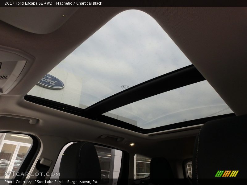 Magnetic / Charcoal Black 2017 Ford Escape SE 4WD