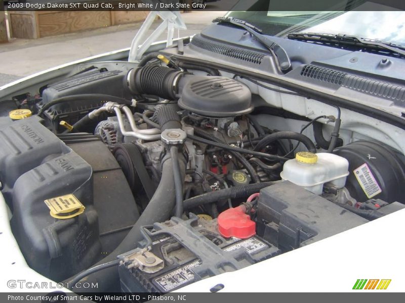 Bright White / Dark Slate Gray 2003 Dodge Dakota SXT Quad Cab