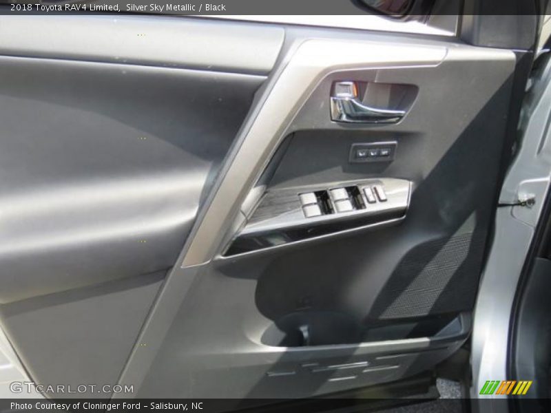 Door Panel of 2018 RAV4 Limited