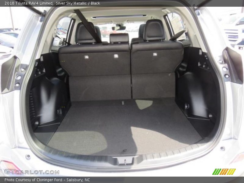  2018 RAV4 Limited Trunk