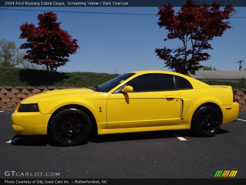 Screaming Yellow / Dark Charcoal 2004 Ford Mustang Cobra Coupe